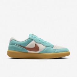 Chaussures de skate Nike SB Force 58 (DV5477-302, Vert givré/Fantôme/Gomme marron clair/)