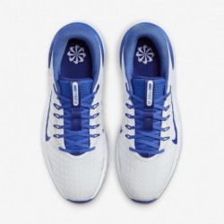 Chaussures de golf Nike Free Golf NN (FN0332-400, bleu roi/gris football/blanc/bleu roi profond)