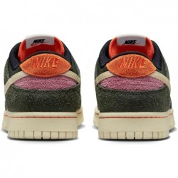 Nike Dunk Low Truite arc-en-ciel (FN7533 300)