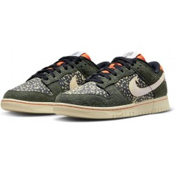 Nike Dunk Low Truite arc-en-ciel (FN7533 300)