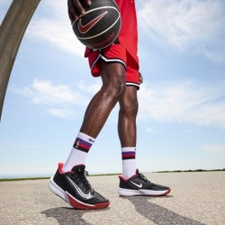 Chaussure de basket-ball Nike pour hommes